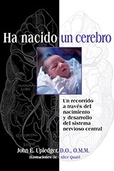 BIB-SP.png