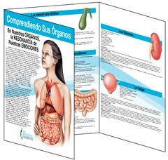 Barral_Organ-trifold-sampleSP.jpg