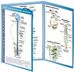 MC-CSS-Marketing Illustration-12-15-20-WEB.jpg