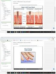 UHSE Sample Pages - Pathology_Page_3.jpg