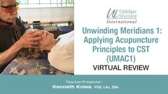 UMAC1-VR Screenshot-REV.jpg
