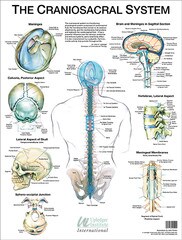 WC-CCSSP-CST Wall Chart-WEB.jpg